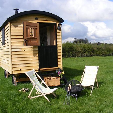 Marshwood Farm B&B And Shepherds Hut Dinton  Exterior foto